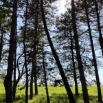 Парцел в София, 7-ми 11-ти километър - 760 кв.м за 22 €/кв.м - Снимка #1