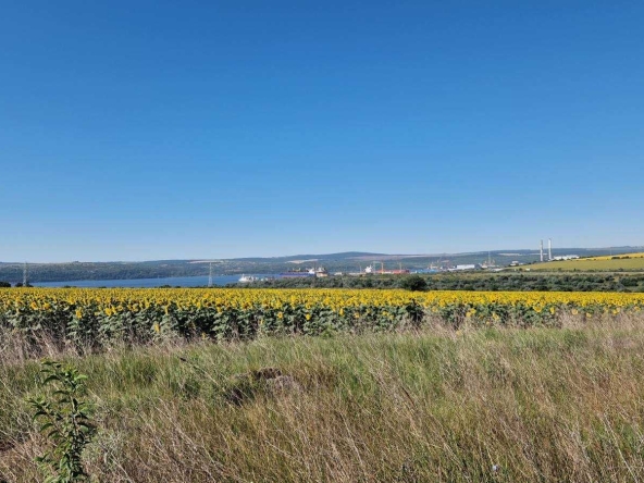 Парцел в с. Тополи, Област Варна - 7600 кв.м за 10 €/кв.м - Снимка #1