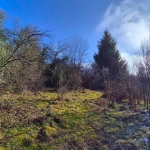 Парцел в с. Зелениград, Област Перник - 2774 кв.м за 7 €/кв.м - Снимка #1