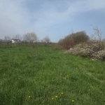 Парцел в с. Караполци, Област София-област - 1411 кв.м за 31 €/кв.м - Снимка #1