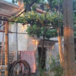 Къща в с. Лозен, Област Стара Загора - 100 кв.м за 250 €/кв.м - Снимка #1