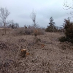 Парцел в с. Козаревец, Област Велико Търново - 1337 кв.м за 18 €/кв.м - Снимка #1