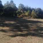 Парцел в Перник, Църква - 2000 кв.м за 10 €/кв.м - Снимка #1