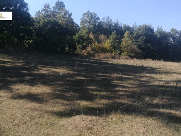 Парцел в Перник, Църква - 2000 кв.м за 10 €/кв.м - Снимка #1