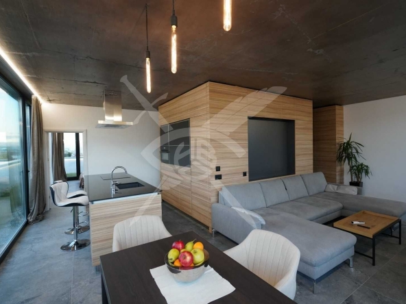 Дава се под наем Тристаен апартамент в София, Горубляне - 168 кв.м за 1595.79 € - Снимка #1