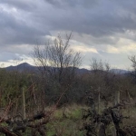 Парцел в Първомай - 2320 кв.м за 3 €/кв.м - Снимка #1