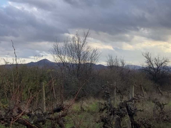 Парцел в Първомай - 2320 кв.м за 3 €/кв.м - Снимка #1