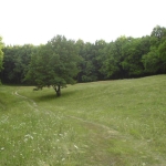 Парцел в с. Балша, Област София-град - 1100 кв.м за 23 €/кв.м - Снимка #1