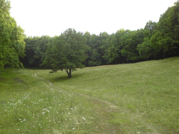 Парцел в с. Балша, Област София-град - 1100 кв.м за 23 €/кв.м - Снимка #1