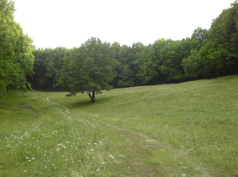 Парцел в с. Балша, Област София-град - 1100 кв.м за 23 €/кв.м - Снимка #1