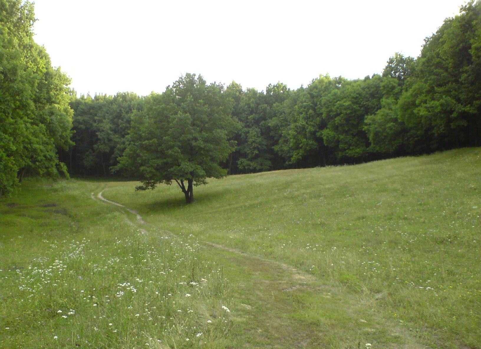 Парцел в с. Балша, Област София-град - 1100 кв.м за 23 €/кв.м - Снимка #1