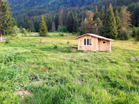 Парцел в Сърница - 1500 кв.м за 34 €/кв.м - Снимка #1