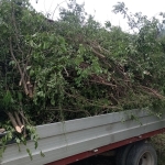 Парцел в Етрополе - 1300 кв.м за 17 €/кв.м - Снимка #1