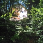 Къща в с. Шипково, Област Ловеч - 280 кв.м за 339 €/кв.м - Снимка #1