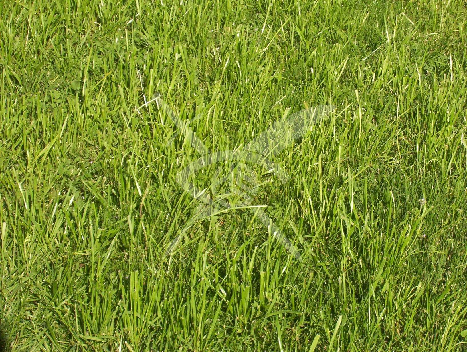 Земеделски имот в с. Цалапица, Област Пловдив -  кв.м за 6 €/дка - Снимка #1