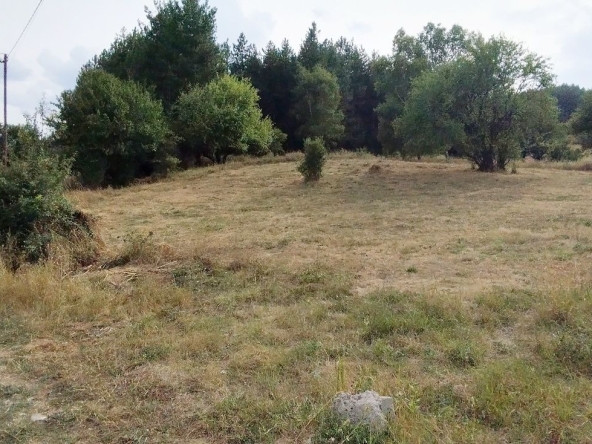 Земеделски имот в Перник, Кошаревска махала -  кв.м за 20 €/дка - Снимка #1