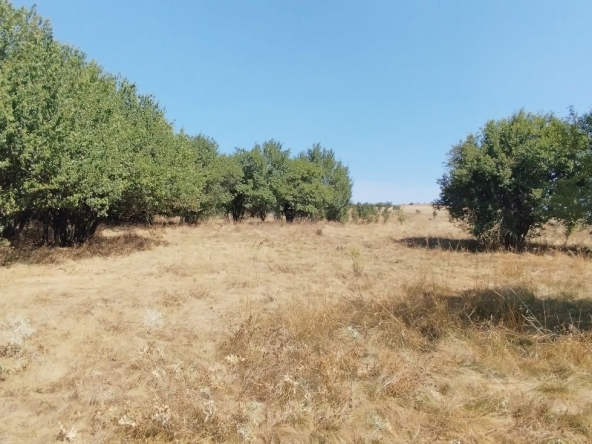 Парцел в с. Слаковци, Област Перник - 791 кв.м за 16 €/кв.м - Снимка #1