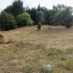 Земеделски имот в Перник, Кошаревска махала -  кв.м за 10 €/дка - Снимка #1