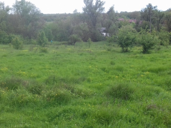 Парцел в с. Долно Абланово, Област Русе - 650 кв.м за 2 €/кв.м - Снимка #1