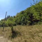 Парцел в с. Огоя, Област София-област - 1000 кв.м за 14 €/кв.м - Снимка #1