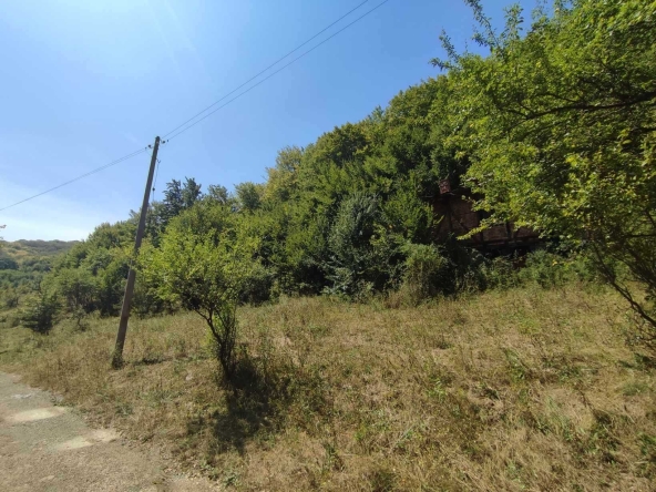Парцел в с. Огоя, Област София-област - 1000 кв.м за 14 €/кв.м - Снимка #1