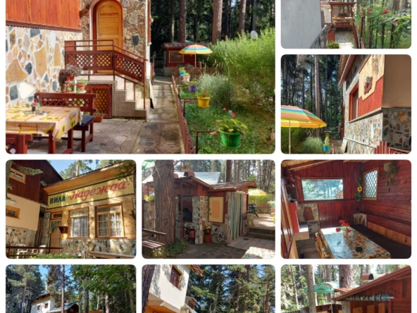 Къща в Батак - 295 кв.м за 678 €/кв.м - Снимка #1