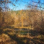 Парцел в Варна, Изгрев - 630 кв.м за 33 €/кв.м - Снимка #1