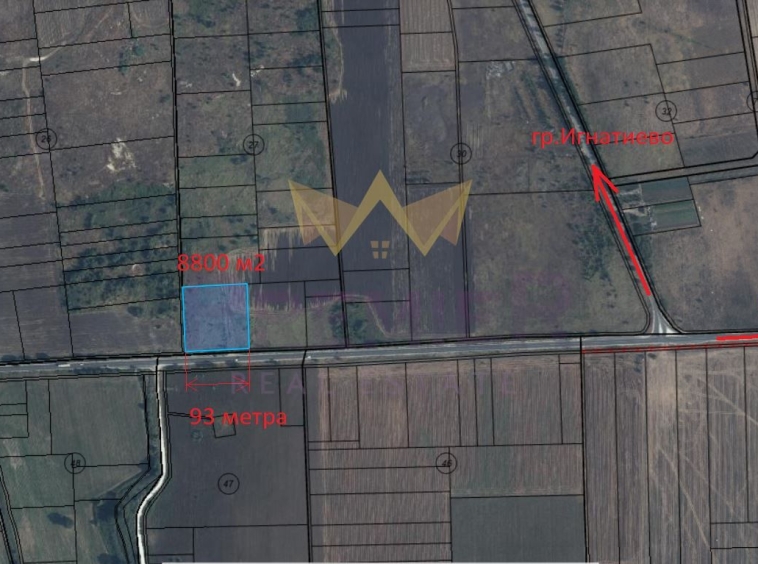 Парцел в Игнатиево - 8800 кв.м за 51 €/кв.м - Снимка #1