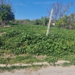 Парцел в Дългопол - 1200 кв.м за 10 €/кв.м - Снимка #1