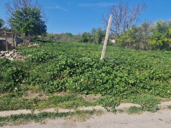 Парцел в Дългопол - 1200 кв.м за 10 €/кв.м - Снимка #1