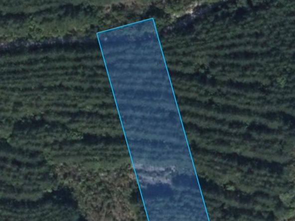 Парцел в Шумен, Херсон - 3001 кв.м за 2 €/кв.м - Снимка #1