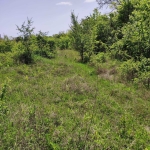 Парцел в Шумен, Пазара - 720 кв.м за 85 €/кв.м - Снимка #1