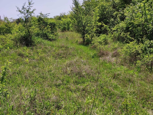 Парцел в Шумен, Пазара - 800 кв.м за 100 €/кв.м - Снимка #1