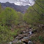 Парцел в Шумен, Херсон - 8500 кв.м за 13 €/кв.м - Снимка #1