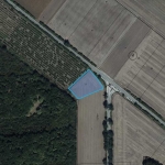 Парцел в с. Търновци, Област Силистра - 5000 кв.м за 7 €/кв.м - Снимка #1