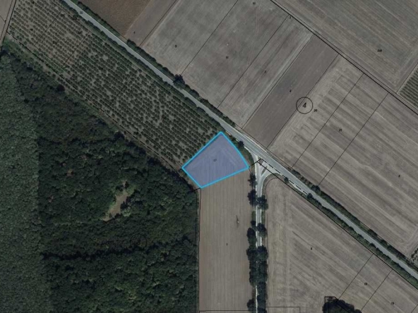 Парцел в с. Търновци, Област Силистра - 5000 кв.м за 7 €/кв.м - Снимка #1