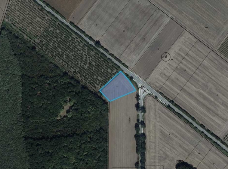 Парцел в с. Търновци, Област Силистра - 5000 кв.м за 7 €/кв.м - Снимка #1