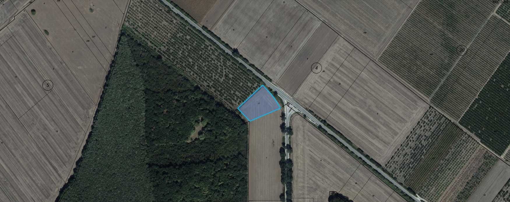 Парцел в с. Търновци, Област Силистра - 5000 кв.м за 7 €/кв.м - Снимка #1