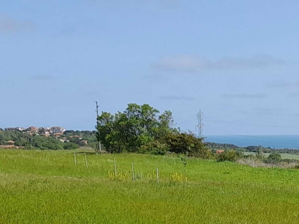 Земеделски имот в Бяла -  кв.м за 8000 €/дка - Снимка #1