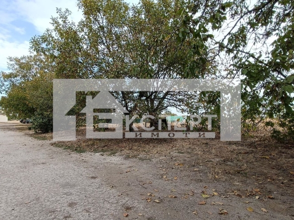 Парцел в с. Крумово, Област Пловдив - 1651 кв.м за 88 €/кв.м - Снимка #1