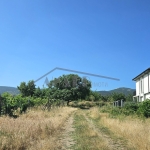 Парцел в с. Белащица, Област Пловдив - 7341 кв.м за 77 €/кв.м - Снимка #1