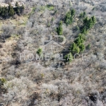 Парцел в к.к. Златни пясъци - 1650 кв.м за 26 €/кв.м - Снимка #1