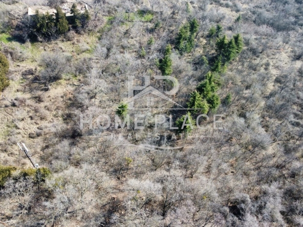 Парцел в к.к. Златни пясъци - 1650 кв.м за 26 €/кв.м - Снимка #1