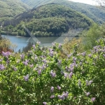 Къща в с. Долни Пасарел, Област София-град - 40 кв.м за 2225 €/кв.м - Снимка #1