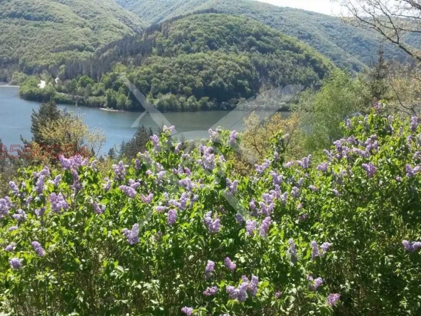 Парцел в с. Долни Пасарел, Област София-град - 850 кв.м за 105 €/кв.м - Снимка #1