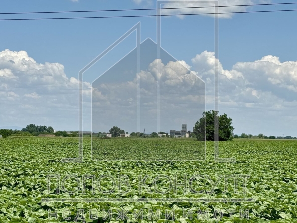 Парцел в Асеновград - 5285 кв.м за 35 €/кв.м - Снимка #1