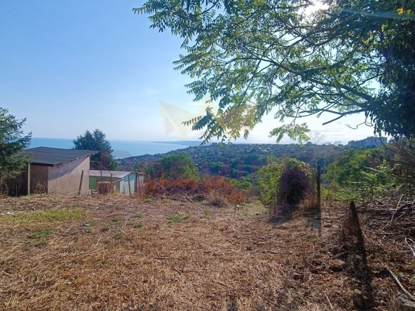 Парцел в Балчик - 1989 кв.м за 42 €/кв.м - Снимка #1