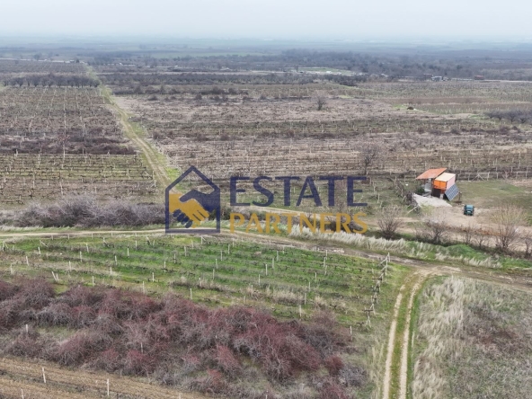 Парцел в с. Браниполе, Област Пловдив - 900 кв.м за 21 €/кв.м - Снимка #1