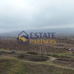 Парцел в с. Браниполе, Област Пловдив - 8098 кв.м за 18 €/кв.м - Снимка #1