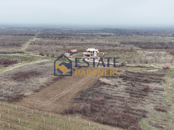 Парцел в с. Браниполе, Област Пловдив - 991 кв.м за 18 €/кв.м - Снимка #1